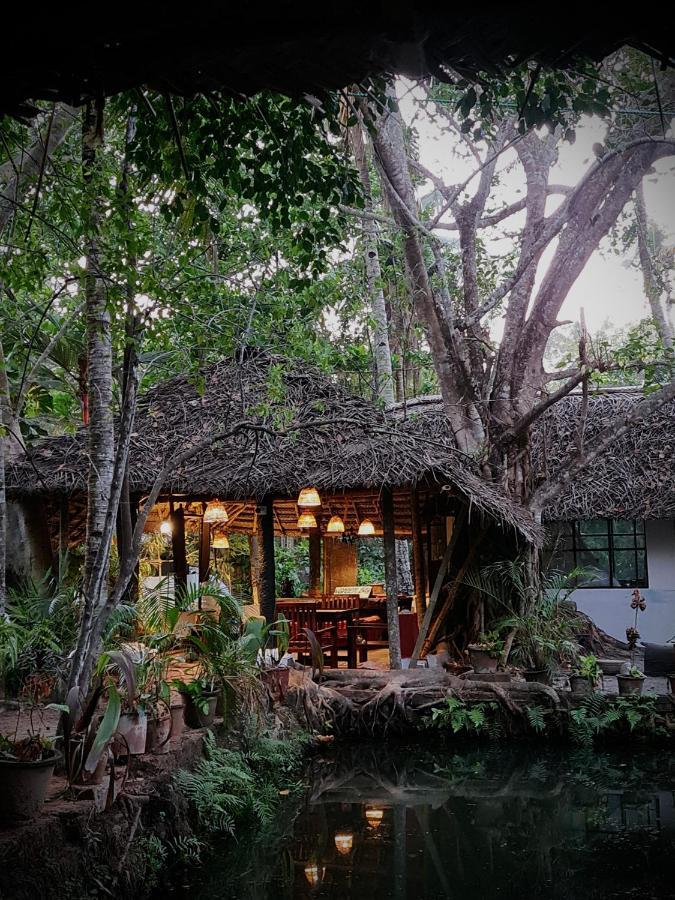 Green Bay Varkala Exterior photo